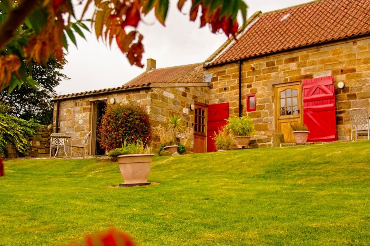 Rosecombe, Borrowby Farm Cottages Staithes Esterno foto